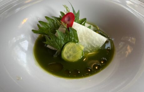 WhatsApp Image 2026-02-15 at 20.47.35